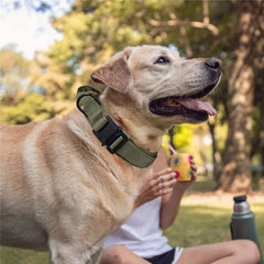 Tactical Dog Collar