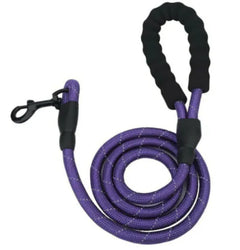 Dog Rope