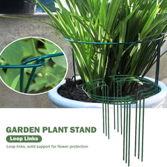 Climbing Plant Support Stakes