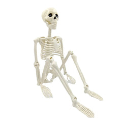 Halloween Horror Skeleton Decorations Haunted House