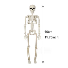Halloween Horror Skeleton Decorations Haunted House