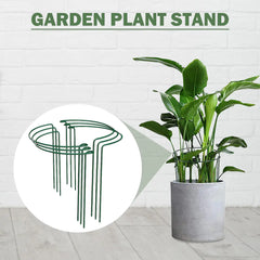 Climbing Plant Support Stakes