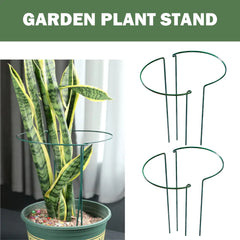Climbing Plant Support Stakes
