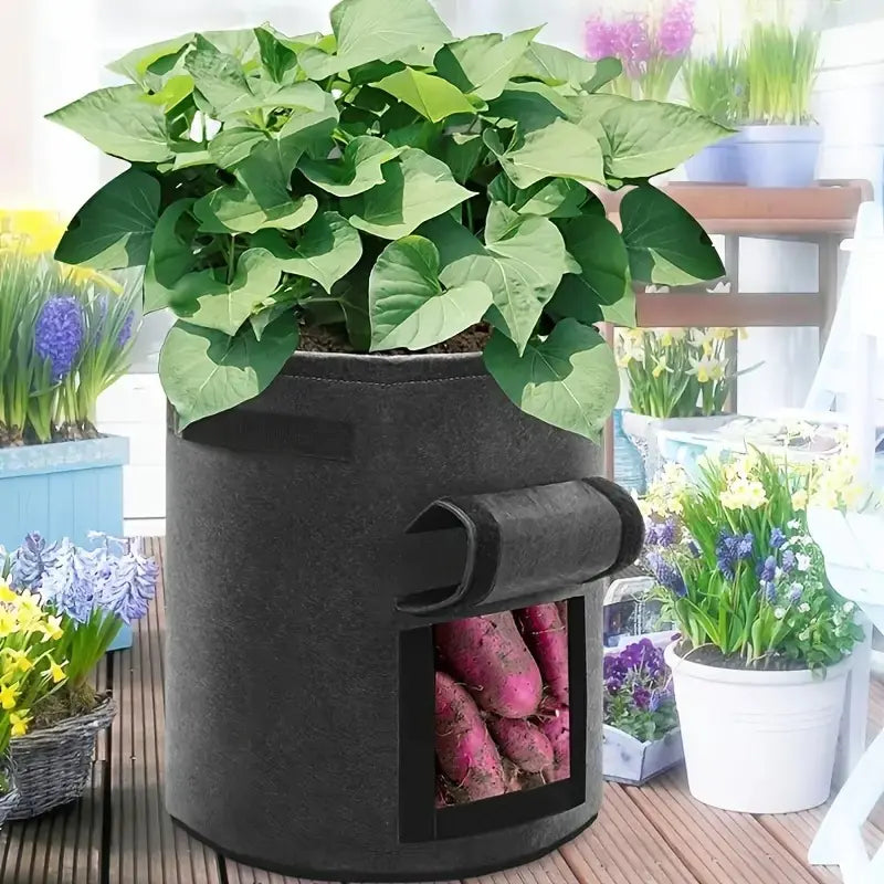Non-Woven Fabric Vegetable Planting Bag