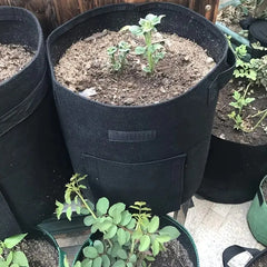 Non-Woven Fabric Vegetable Planting Bag