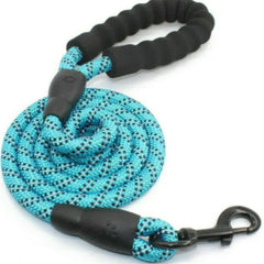 Dog Rope